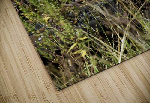 Flowers in the Junkyard Michelle Nichols puzzle