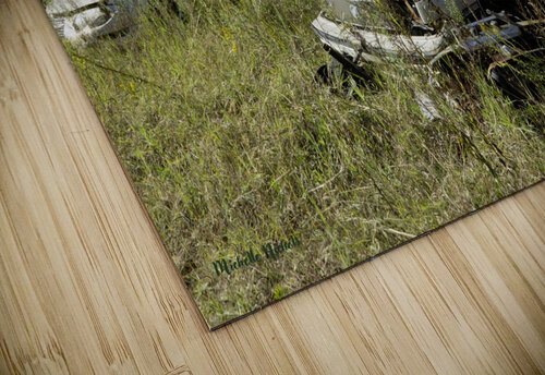 All Lined Up Michelle Nichols puzzle