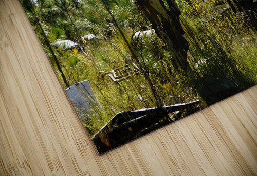 Old Rusty Excavator Michelle Nichols puzzle