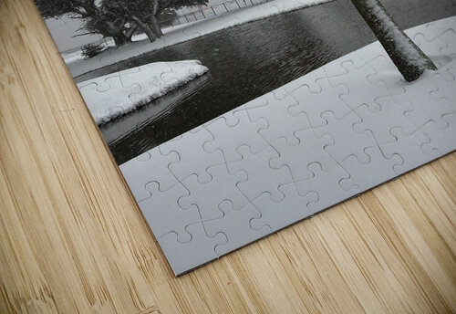 Guy s Snowy Palm Tree Michelle Nichols puzzle