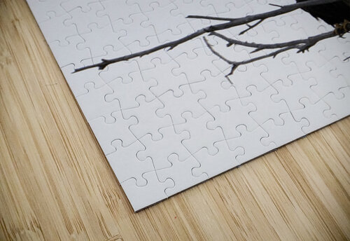 Eagle 5 Michelle Nichols puzzle