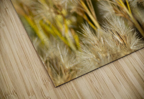 Seed Head Whisps Michelle Nichols puzzle