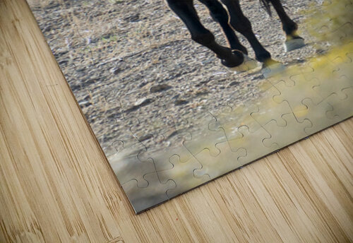 Wild Horses Michelle Nichols puzzle