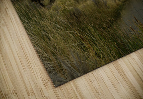 Stormy Field Michelle Nichols puzzle