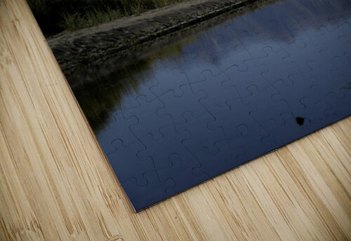 Carson River Bend Michelle Nichols puzzle