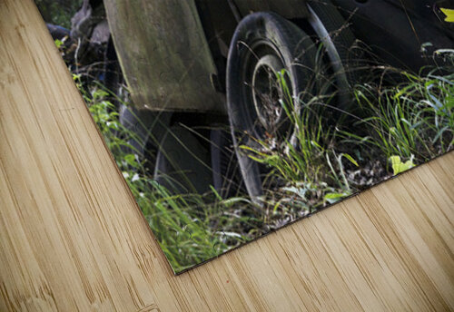 Jane and Dan s Treasure Michelle Nichols puzzle