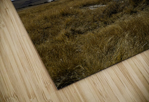 Old Fence Cross Section Michelle Nichols puzzle