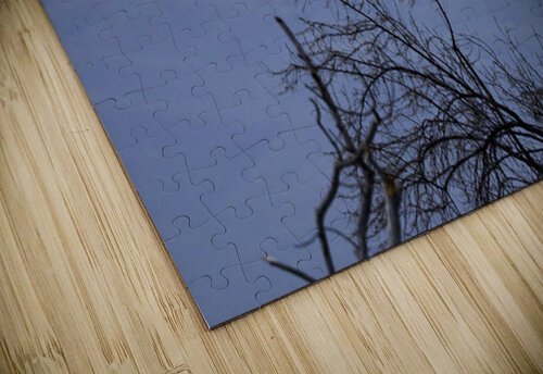 Lovers In Flight Michelle Nichols puzzle