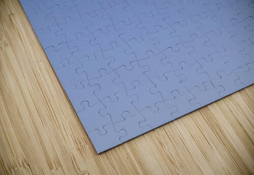 Soaring Michelle Nichols puzzle