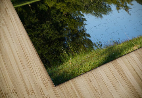 Pond Reflections Michelle Nichols puzzle