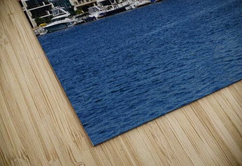 Bay Livin Michelle Nichols puzzle