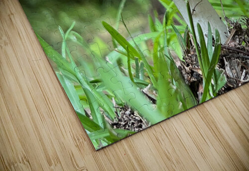 The Mushroom Michelle Nichols puzzle