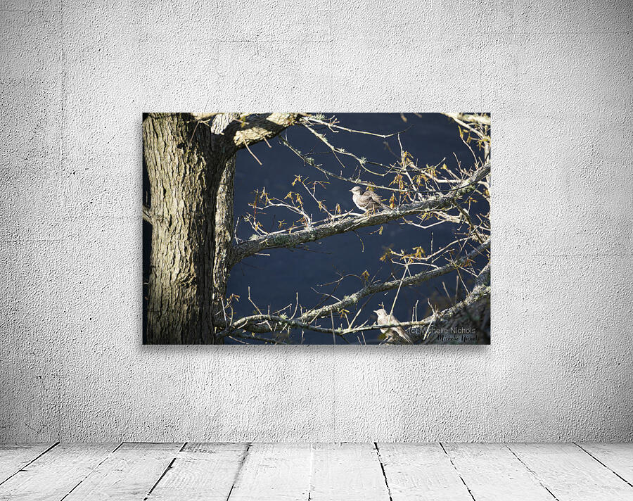 Two Little Birds Wall Preview