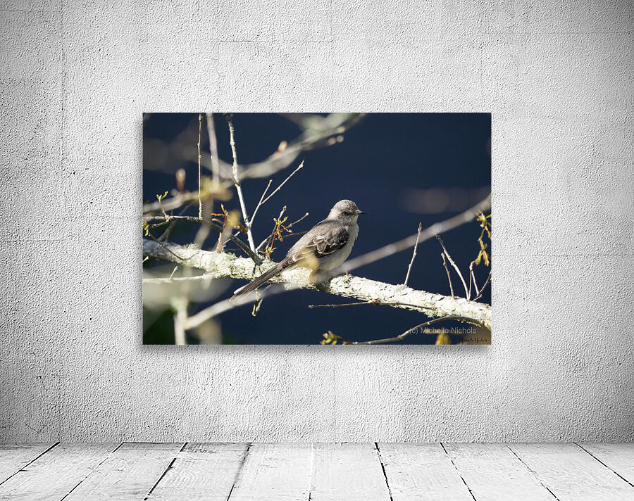 Mockingbird Wall Preview