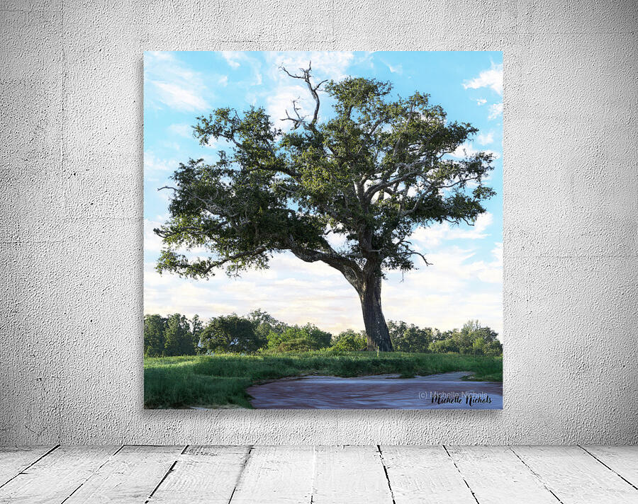 Long Beach MS Tree Wall Preview