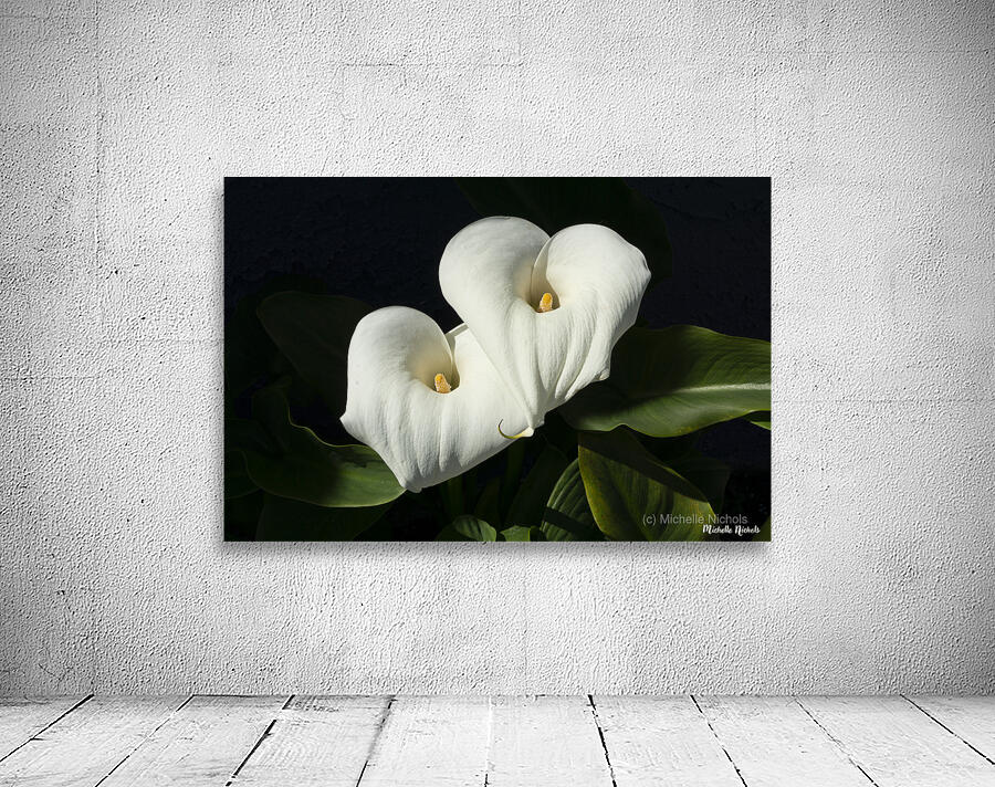 Calla Lilly Wall Preview