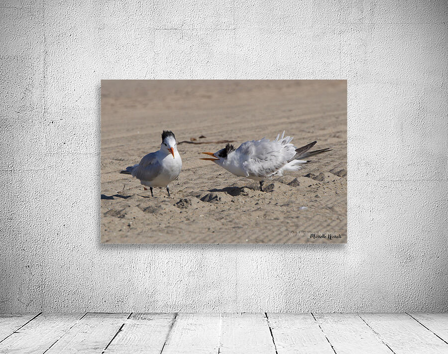 Seagull Couple Wall Preview