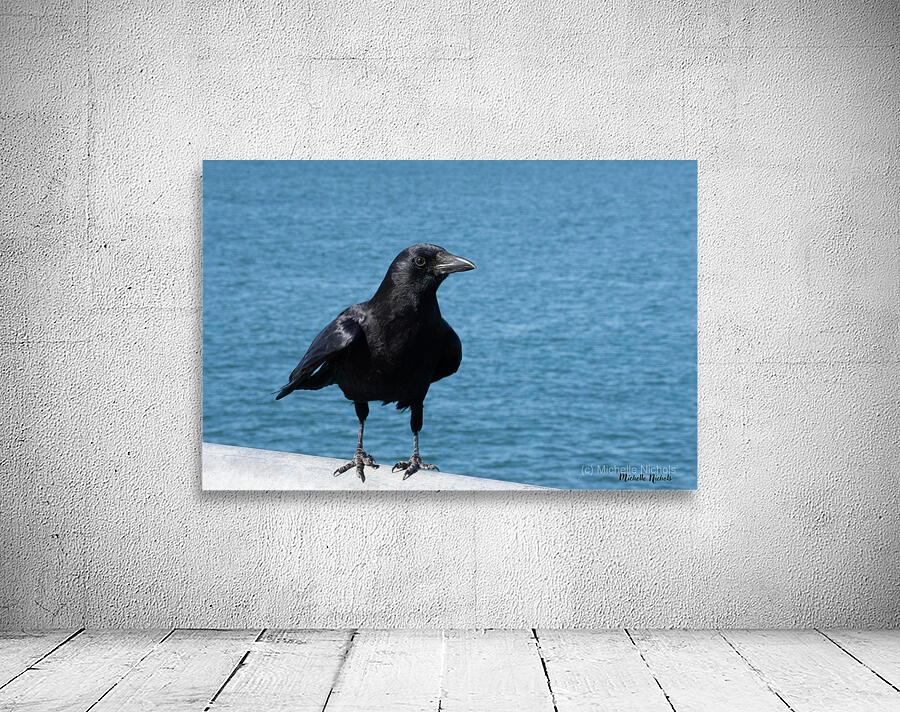 Crow at the Beach 1717431764.8933 Wall Preview