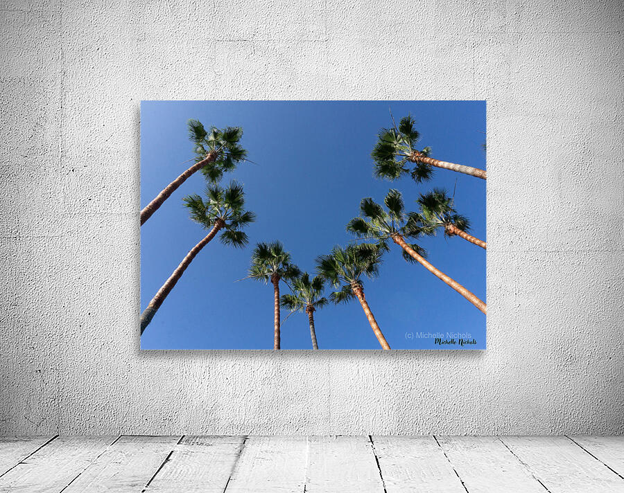 Palm Trees Wall Preview
