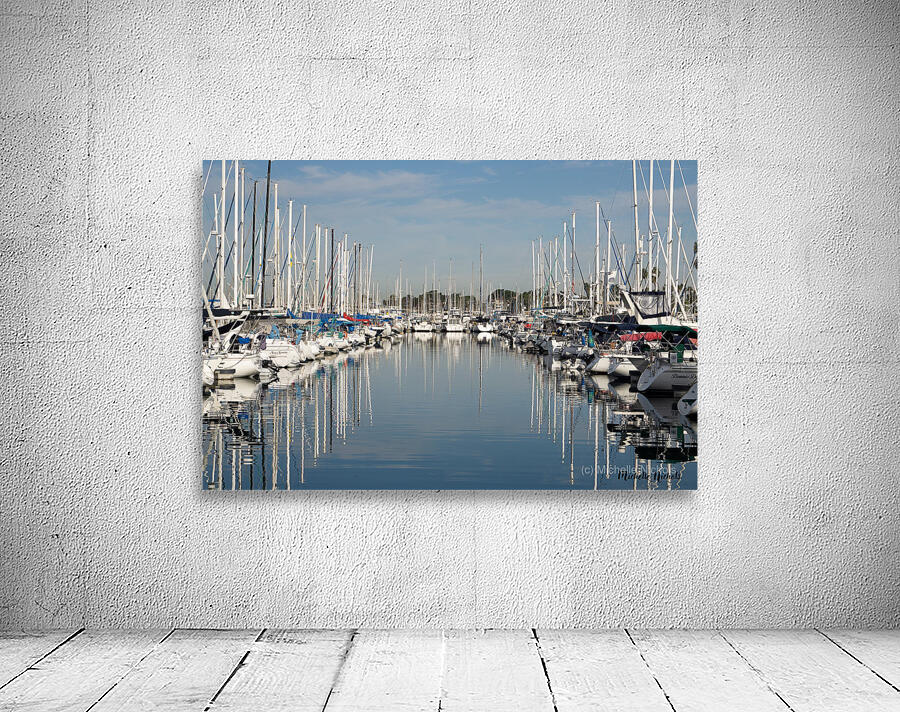 The Marina Wall Preview