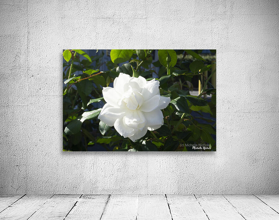 White Cam Wall Preview