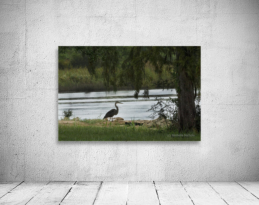 Bayou LaCroix Wall Preview