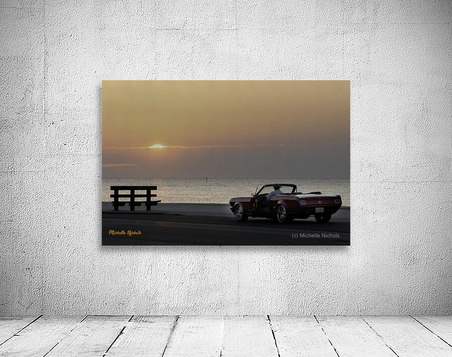 Thelma  Chris Wall Preview