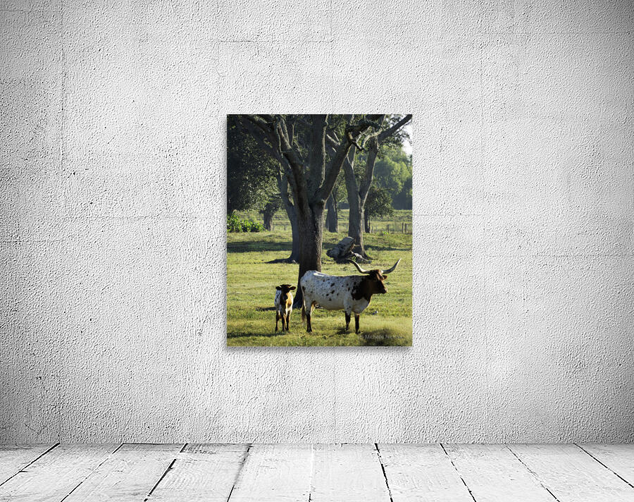 Mom and Calf Greet the Morning Wall Preview