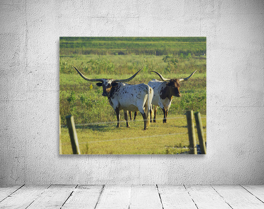 Double Trouble Wall Preview