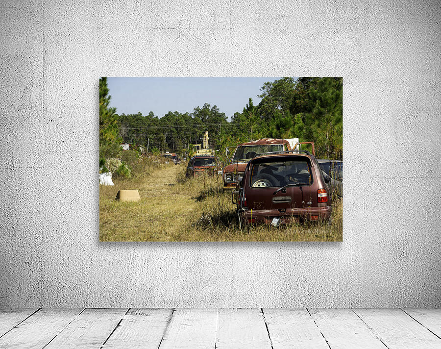 A Walk In The Park Wall Preview