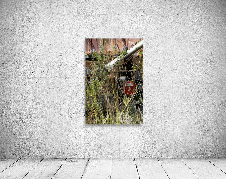 Flowers in the Junkyard Wall Preview