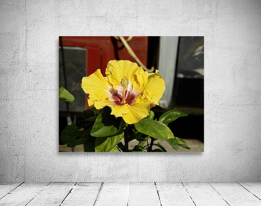 Junkyard Hibiscus Wall Preview