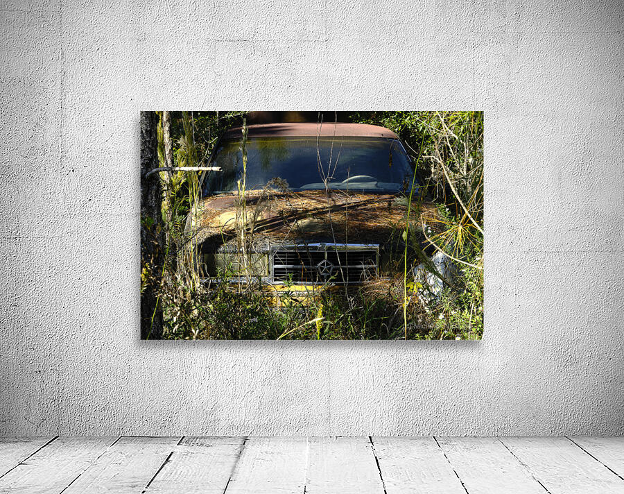 Forgotten Wall Preview