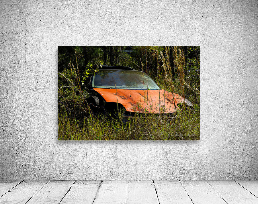 Where Is My Car Wall Preview