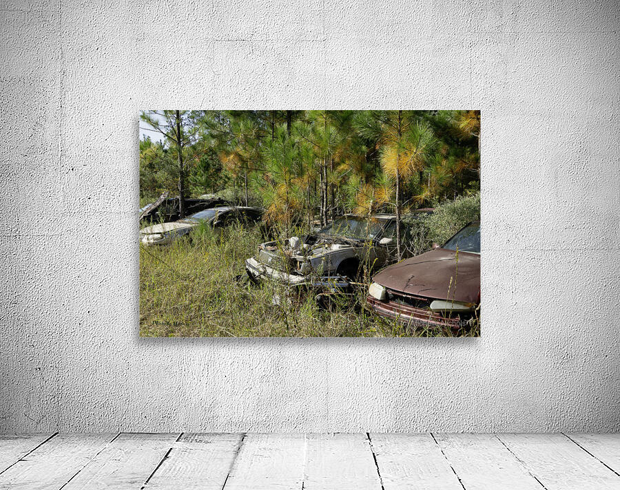 All Lined Up Wall Preview