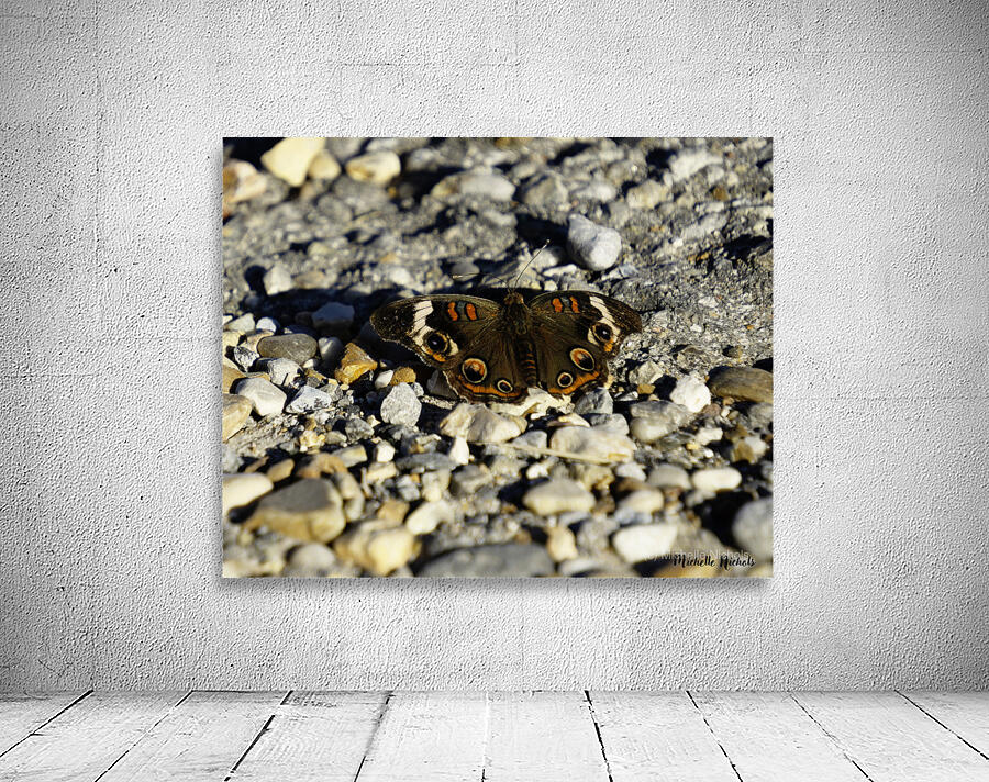 Wings of Autumn Wall Preview