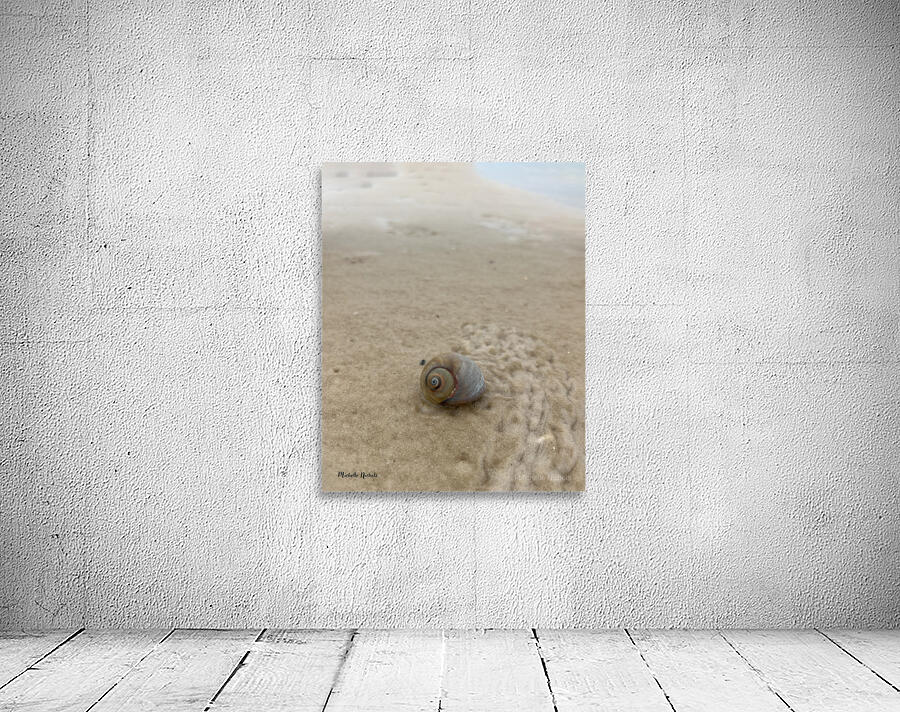 Making My Way Home Wall Preview