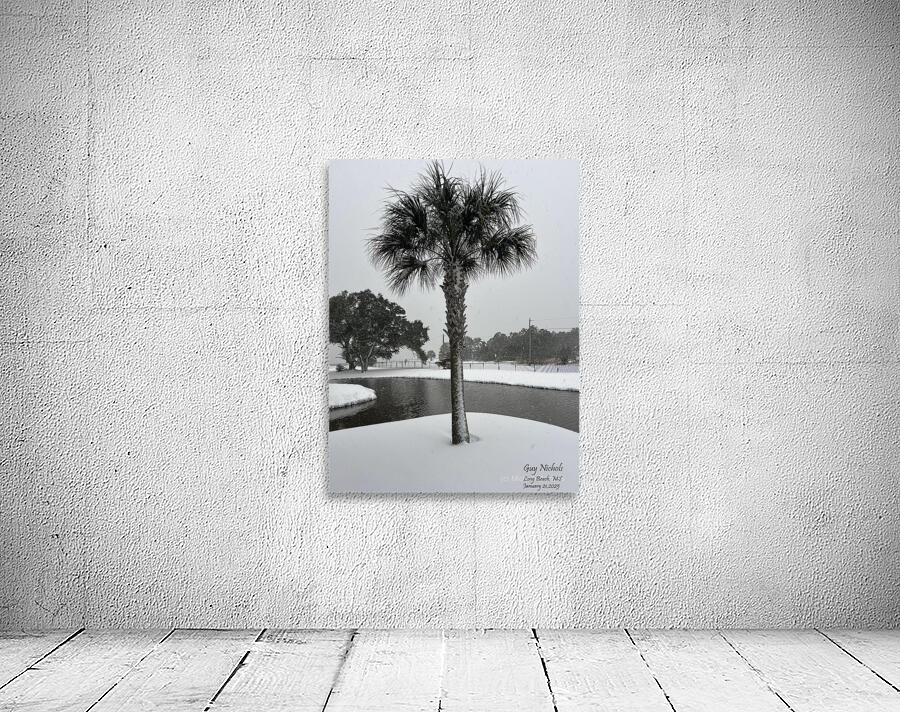 Guy s Snowy Palm Tree Wall Preview