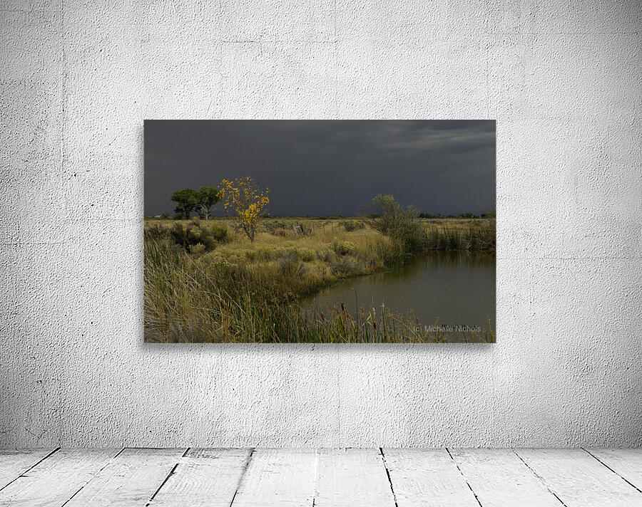 Stormy Field Wall Preview