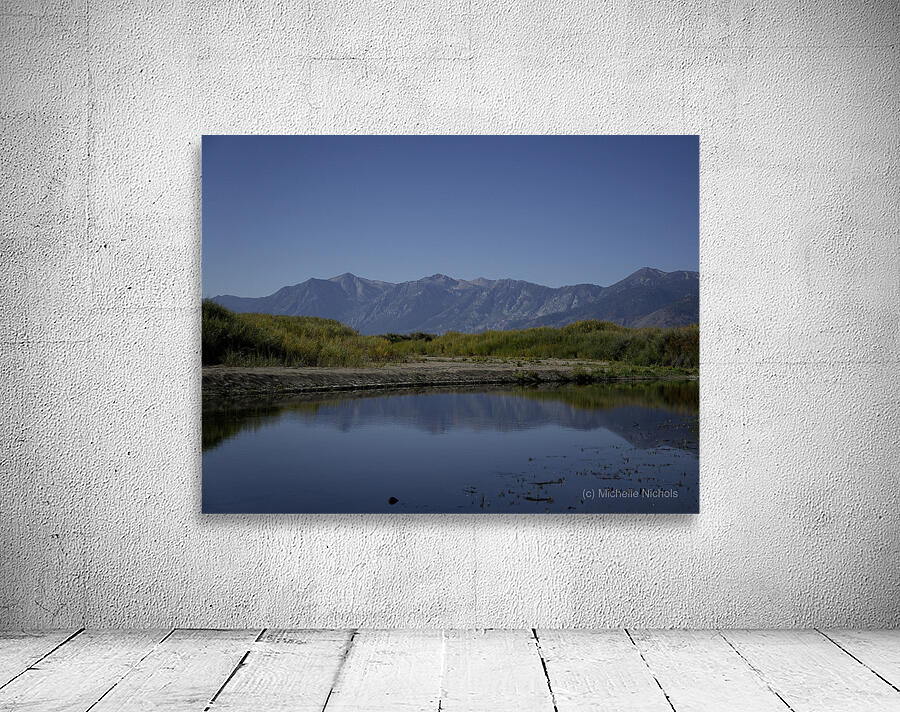 Carson River Bend Wall Preview