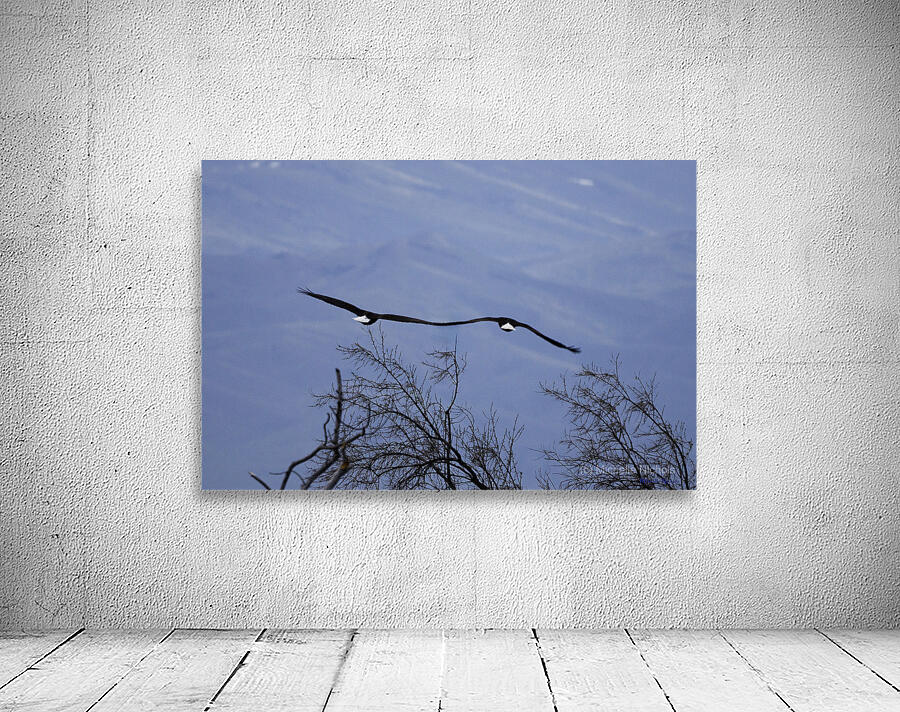 Lovers In Flight Wall Preview