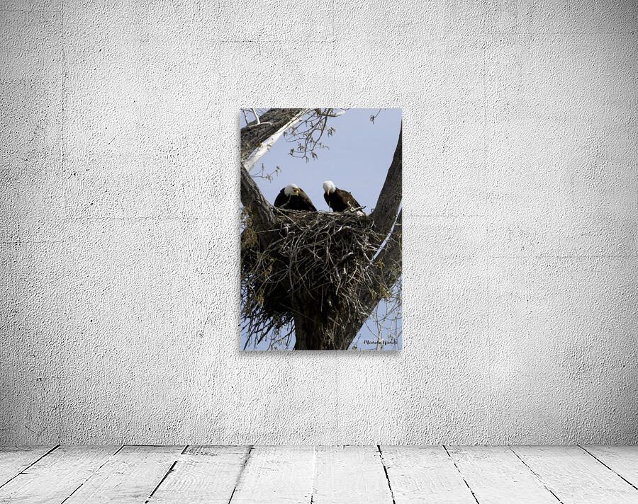 Eagle Couple Wall Preview