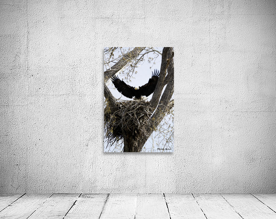 Coming Home Wall Preview