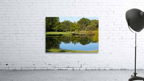 Pond Reflections Wall Preview