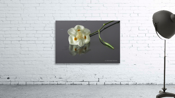 African Iris Wall Preview