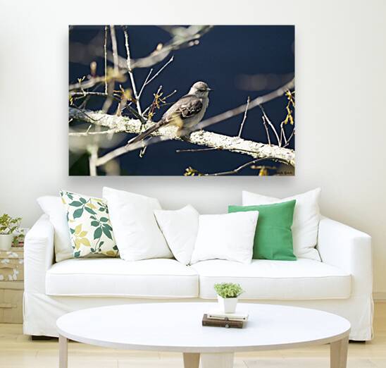 Mockingbird Reproduction