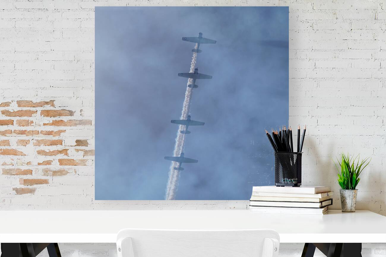 CA Planes 2 1sq Reproduction