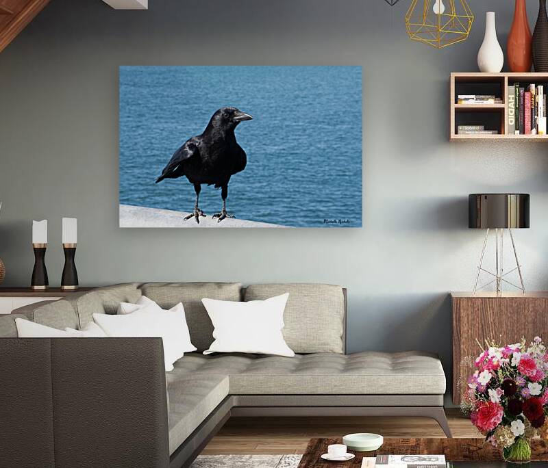 Crow at the Beach 1717431764.8933 Reproduction