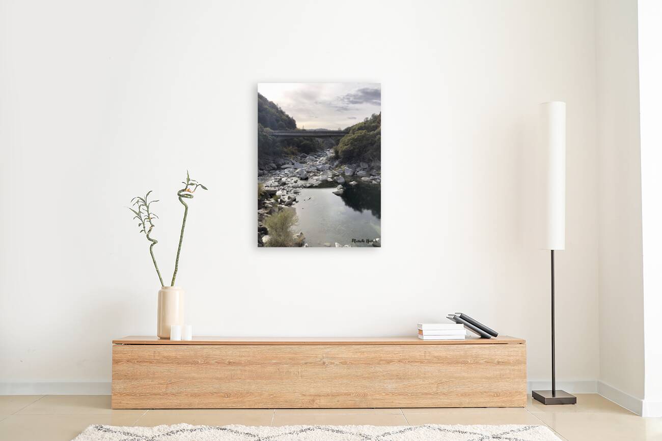 Yuba River Reproduction