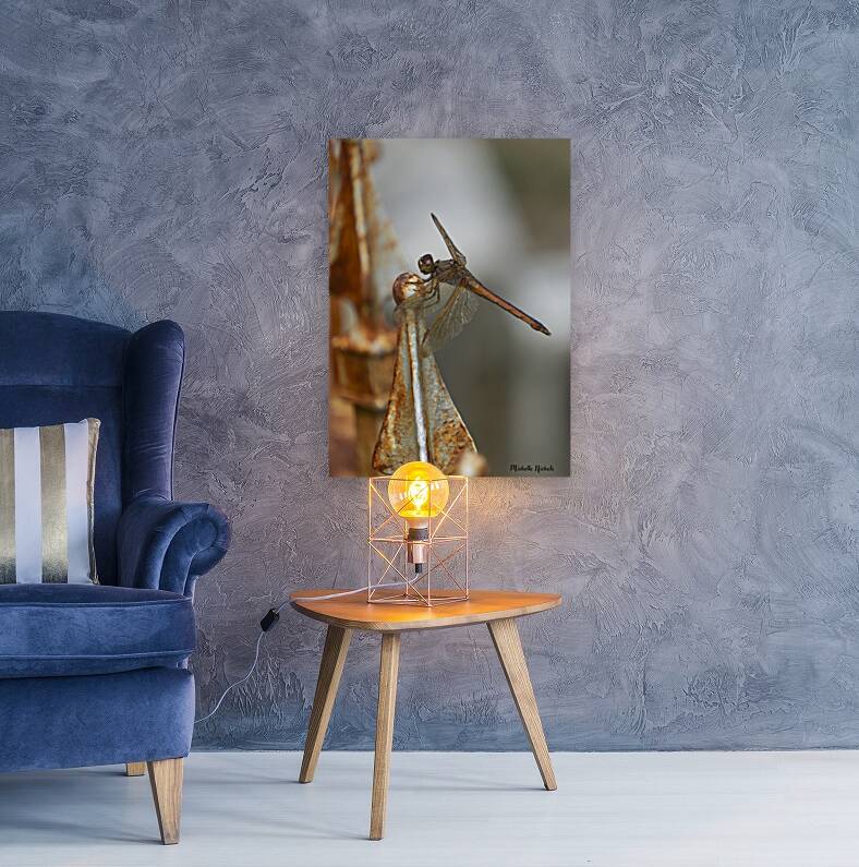 Rusty the Dragonfly Reproduction